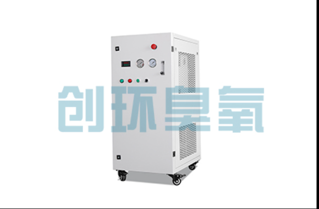 昆明工厂化养鲈必看:2026年臭氧发生器替代传统消毒的最新方案