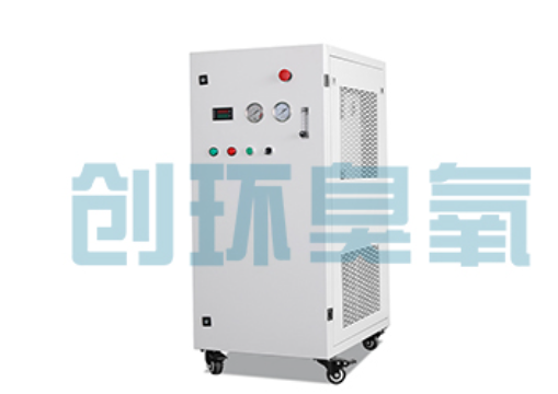 昆明石斑鱼养殖水质调控完整指南:臭氧发生器配置与操作步骤