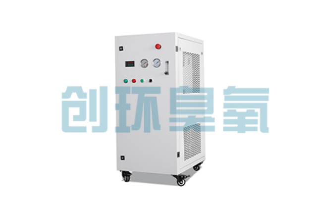 昆明比传统换水更高效?臭氧发生器在石斑鱼养殖中的水质净化原理解析