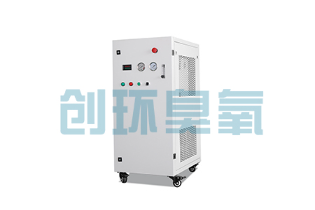 昆明比传统换水更高效?臭氧发生器在石斑鱼养殖中的水质净化原理解析